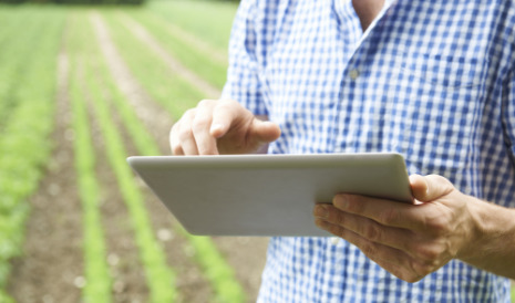 Fotografía de una persona buscando información en una tablet Fotografía de una persona buscando información en una tablet